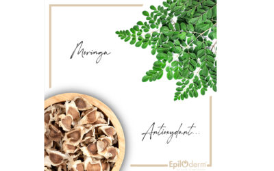 LA MORINGA, LA PETITE PLANTE AUX GRANDES VERTUS ? ?