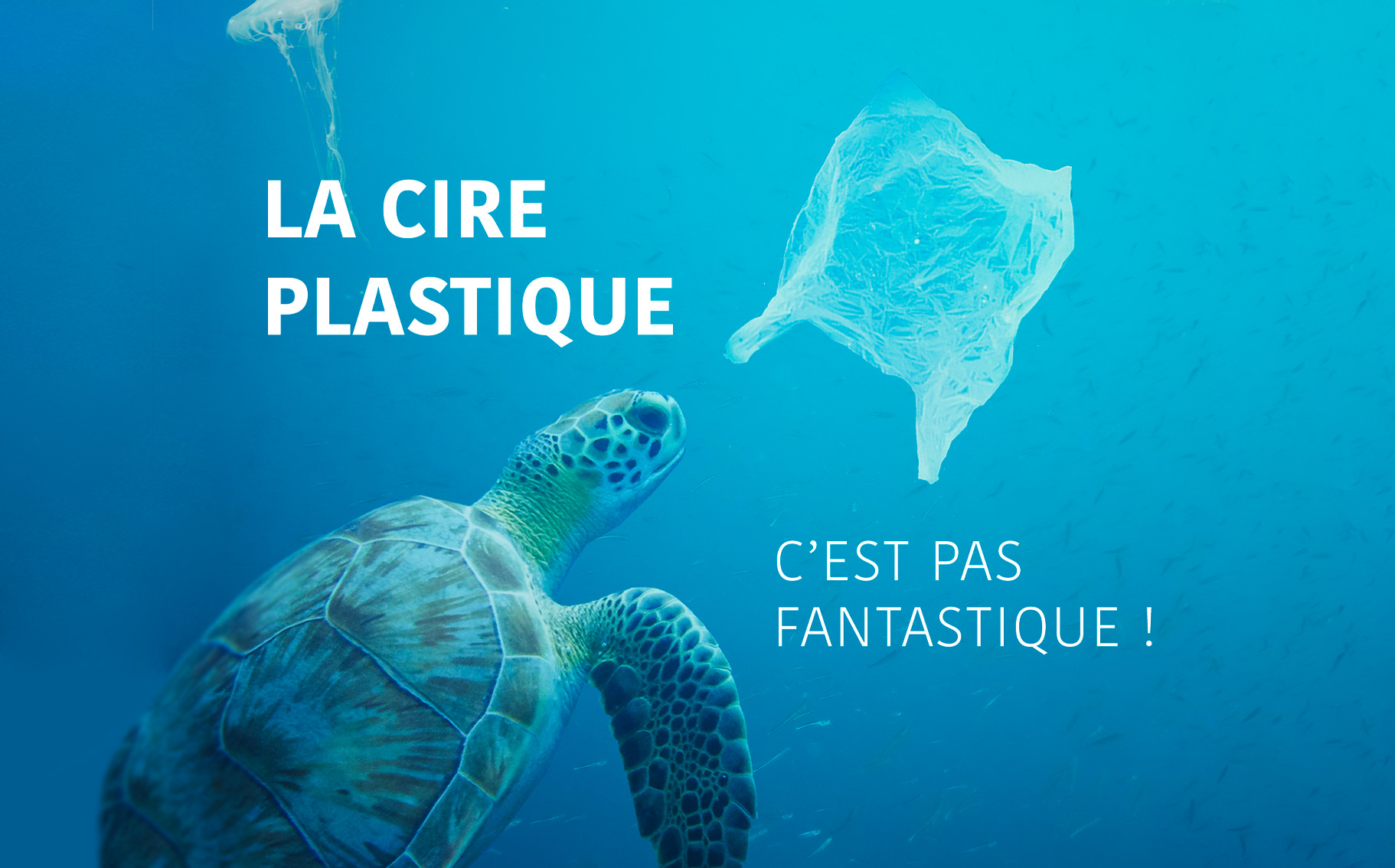 la cire plastique